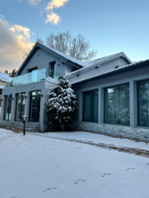 Luxurious Villa